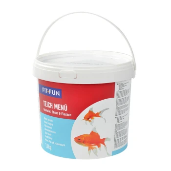 Nano Aquarium Design